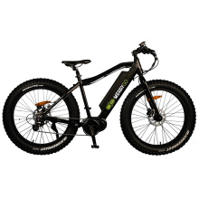 26X4.0 Inch 1000W Snow Fat Tire E Bicycle Electric Bike for Adult